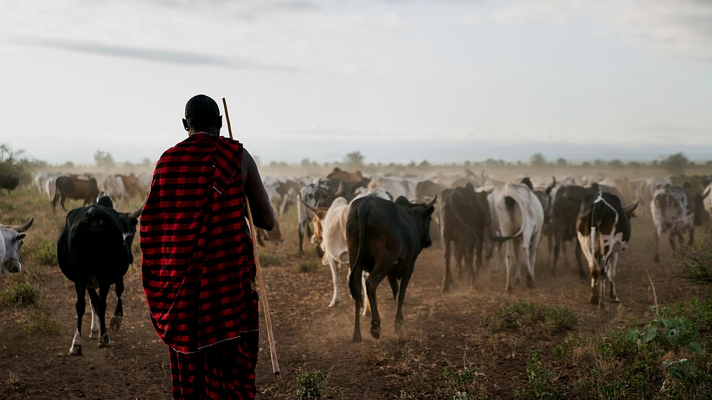 About Bright Futures Foundation