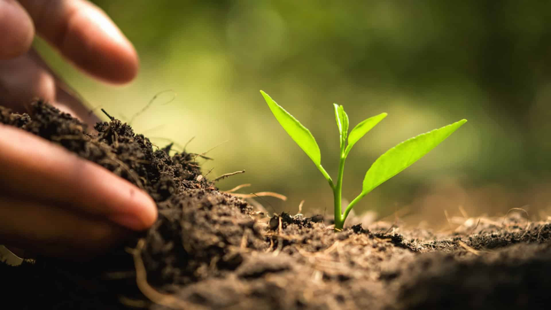 environmental conservation