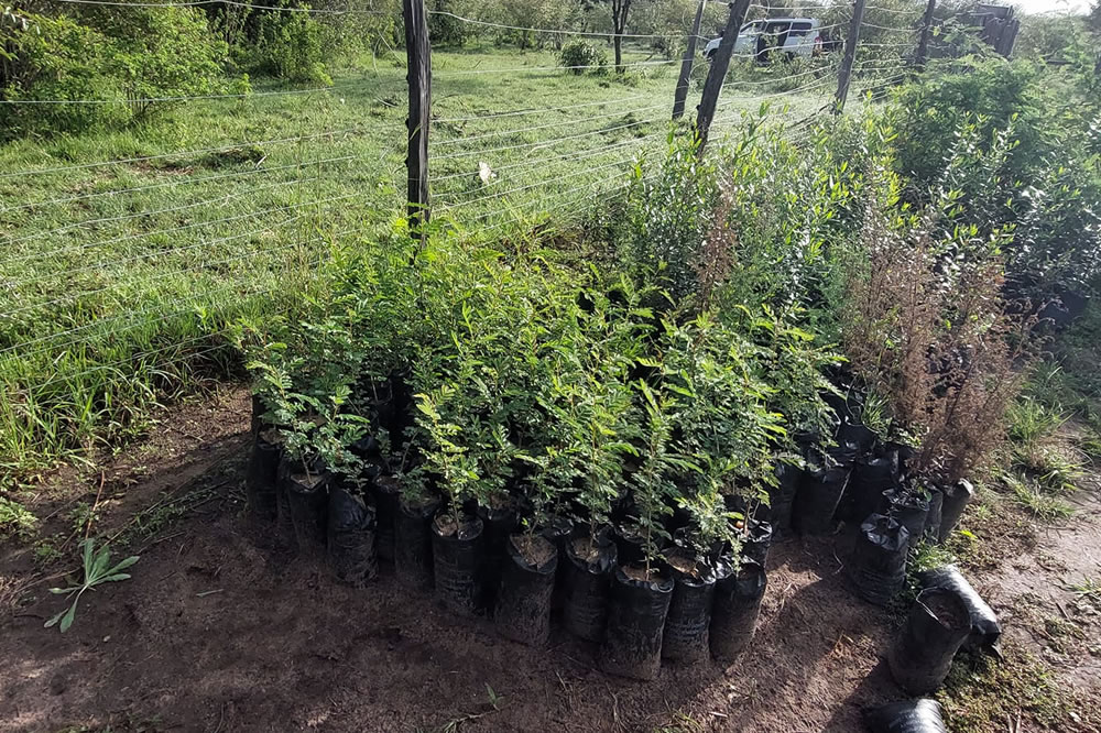 environmental conservation